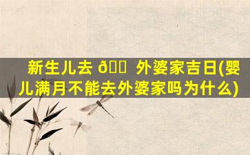 新生儿去 🐠 外婆家吉日(婴儿满月不能去外婆家吗为什么)